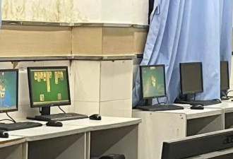 卖房留学，回国返贫，海归就业废物面临信仰崩塌