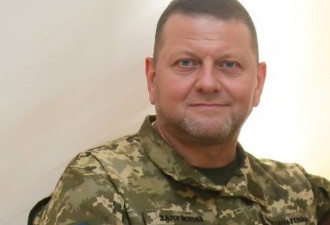 乌克兰总司令扎卢兹尼重伤 进行开脑手术