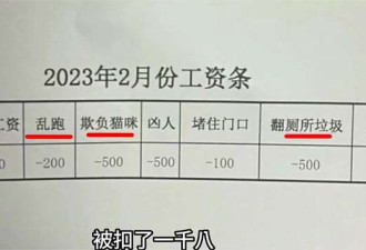 广东工厂竟任命10岁土狗当安保队长月薪3000元