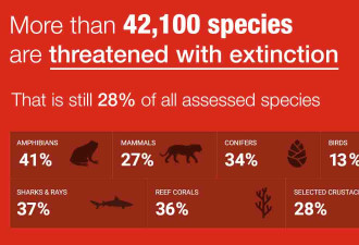 第六次大灭绝来了 研究指全球野生动物严重减少