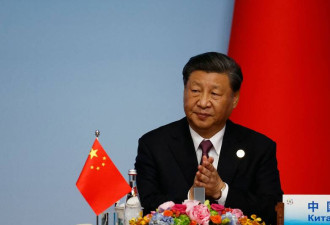 中国受邀“乌战和平峰会”，真正目的曝光