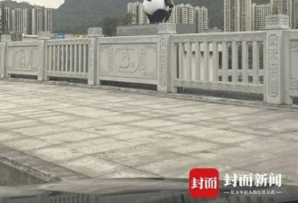 “四川雅安大熊猫雕塑穿和服”引热议！真相来了......