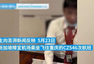 中国旅客在新加坡乘机遭员工用3种语言骂“狗”