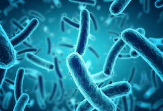 超级细菌也阵亡！科学家发现全新抗生素 背后功臣是“它”