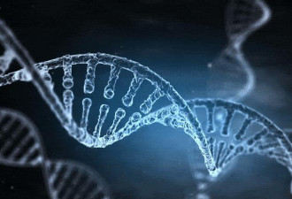 宿命论？最新研究:基因决定你人生选择？