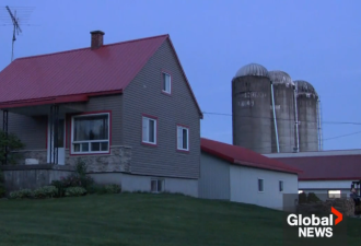 魁省2岁女童掉入农场谷物搅拌机身亡