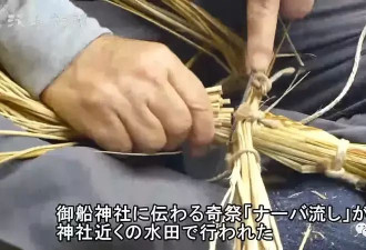 太污！日本茨城奇怪的风俗：野外啪啪可以让稻谷收成更丰硕