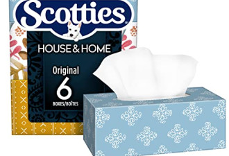 Scotties Original 柔软2层面巾纸6盒热卖