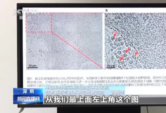中国首次实现人类干细胞太空早期造血！细节图来了