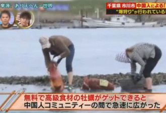 中国大妈火了！非法乱扔牡蛎壳被举报，跪地哭求警察放过…