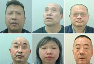 华裔卖淫集团色情广告引来警察，地下妓院黑幕曝光