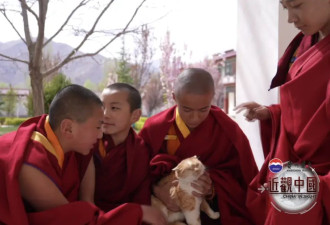 中国政府安排外籍观察员探访西藏小活佛：他3岁时被认定