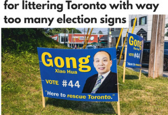 多伦多华裔市长候选人树太多选举标志遭批评