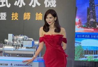 林志玲出席活动认不出 五官变化大塑胶感强