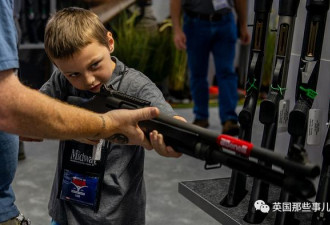 底特律6岁男童家中玩枪 对1岁弟连开2枪