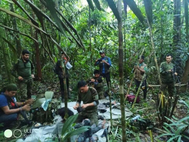 坠机后幸存哥伦比亚4名儿童在丛林游走40天后获救