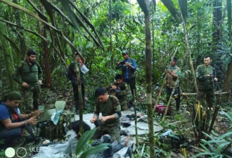 坠机后幸存 哥伦比亚4名儿童在丛林游走40天获救