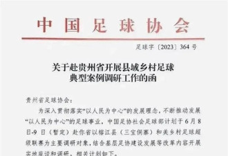 传足协调研“村超”联赛，球迷为何担忧？