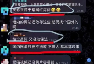 网红暗网开虐猫刑房惹怒网友 160根长针刺穿小猫