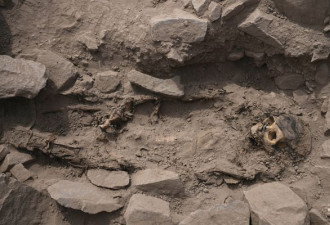 秘鲁挖出3000年前木乃伊 身体被绑疑是活人献祭