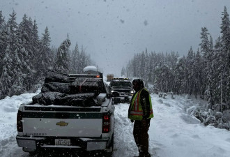 【视频】加拿大旅游胜地六月夏至迎60厘米雪暴 数十名游客被困