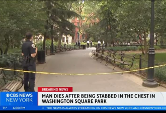 光天化日下 男子在纽约华盛顿广场公园被刀刺死