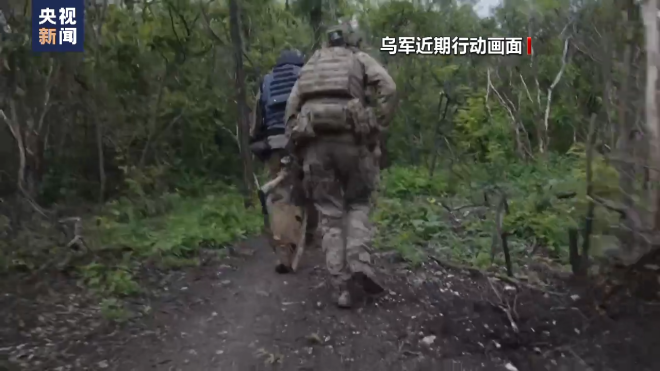 俄称乌进攻陷入停滞泽连斯基承认乌军攻势慢于预期_凤凰网