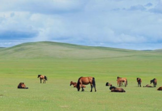巨美的内蒙古5A景区 你们去过几个？