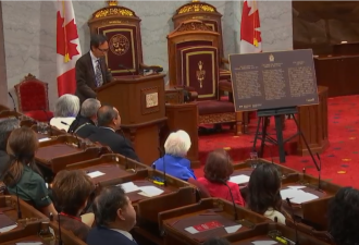 加拿大纪念《排华法案》一百周年！华裔各界国会山举行反思集会