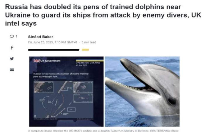 俄罗斯训练海豚守护克里米亚- 国际日报