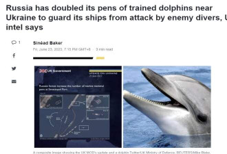 热帖：“俄罗斯训练海豚守护克里米亚”