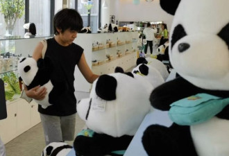 刘烨儿女熊猫基地被偶遇 诺一好朴实