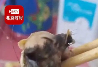 重庆医院饭盒又见鼠头 网：百分之百鸭脖