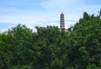 北京森林秘境：现实版绿野仙踪 有湖有花