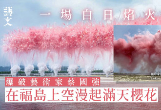 爆破艺术家蔡国强 4万发烟火绽放樱花亡魂