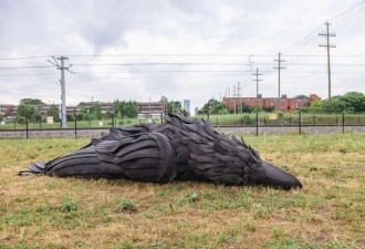 “粪便? 死鸟? 破轮胎? ” 渥太华全新艺术地标被网友热议