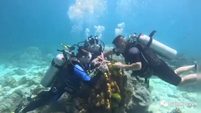 恐怖重罚！中国游客在泰国爬珊瑚摸海星，最高坐牢2年_无忧资讯