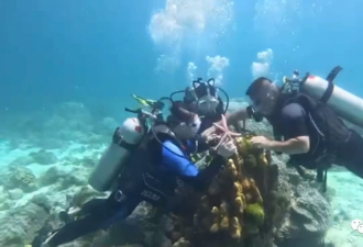 中国游客在泰国踩踏珊瑚礁 最高将监禁