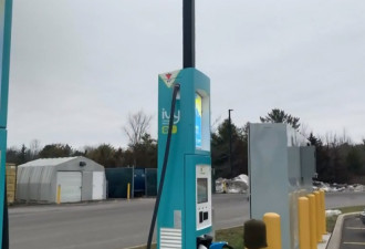 绝大多数加拿大司机说不买电动汽车：理由很简单