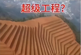 “水稻上山”已叫停 巨大损失谁来买单？