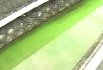 日本一地河水变绿,政府呼吁民众不要触碰