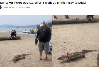 吓人：温哥华男子海滩上遛巨型宠物蜥蜴