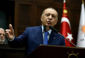 土耳其总统埃尔多安：乌克兰理应加入北约