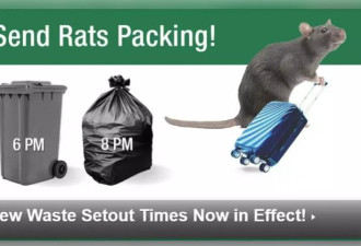 老鼠缓解区出没率降30% 纽约市府灭鼠见效