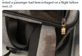 飞多伦多机舱惊现血迹传恶臭，无辜乘客发现恐怖真相！