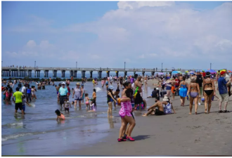 粪污染超标 纽约过半海滩达关闭标准仍开放