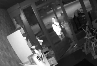【视频】多伦多华人区遭一群“小屁孩”夜袭：连闯几家狂偷！
