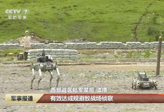 中国军用机器狗形成战力 美媒直呼可怕