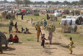 联合国：苏丹达佛乱葬岗87具尸体 疑上月遭杀害