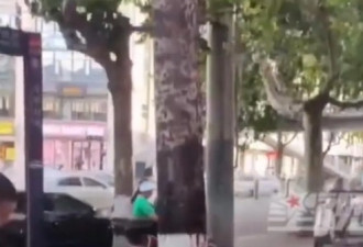 中国酷热奇景：大树冒烟 马路爆裂 红绿灯罩融化